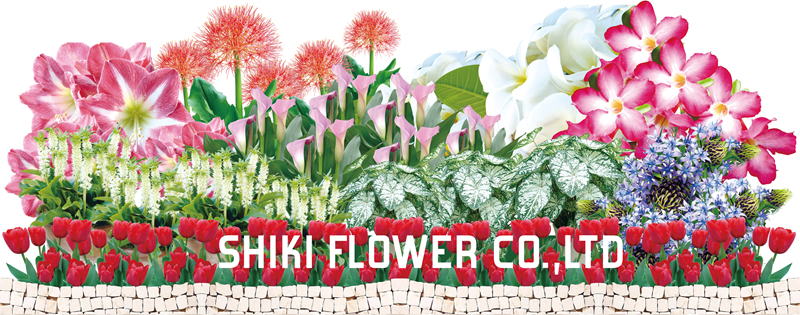 志木フラワー SHIKI FLOWER CO., LTD